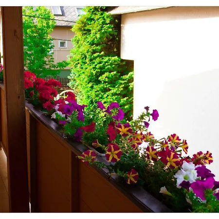 Csokolade Pensión 3*