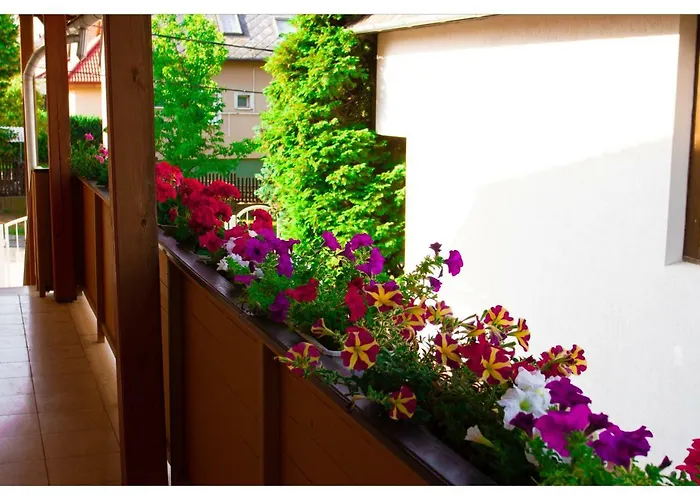 Csokolade Pensión 3*